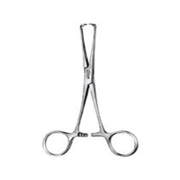Russian Tissue Forceps Olten